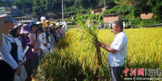 图为植物保护严家显班学生正在听卓传营工程师讲解再生稻原理 刘国坤摄 图为植物保护严家显班学生正在听卓传营工程师讲解再生稻原理 刘国坤摄