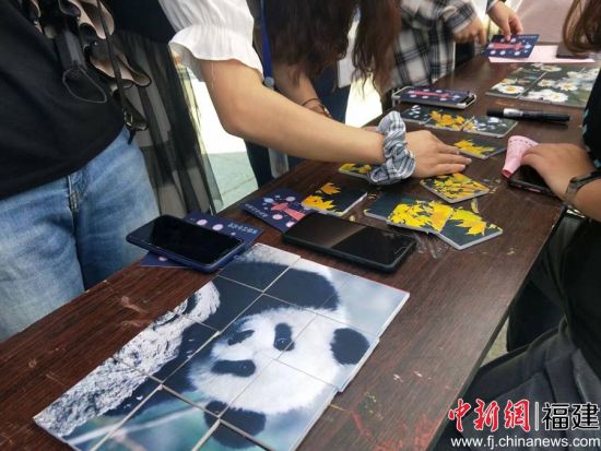 图为学生正在进行珍稀动物拼图游戏 温悦彤摄 图为学生正在进行珍稀动物拼图游戏 温悦彤摄