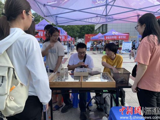 图为参观者听昆虫协会展区负责人讲解昆虫知识 张荣懿摄 图为参观者听昆虫协会展区负责人讲解昆虫知识 张荣懿摄