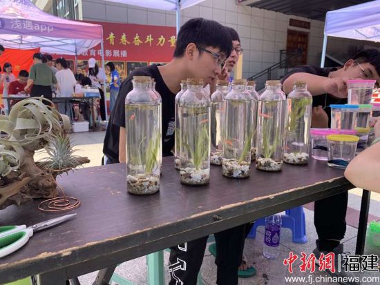 图为水族造景协会负责人向学生讲解生态瓶制作过程 张荣懿摄 图为水族造景协会负责人向学生讲解生态瓶制作过程 张荣懿摄