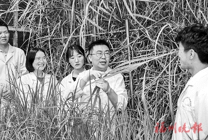 乐鱼(中国)科研成果上了国际顶级期刊